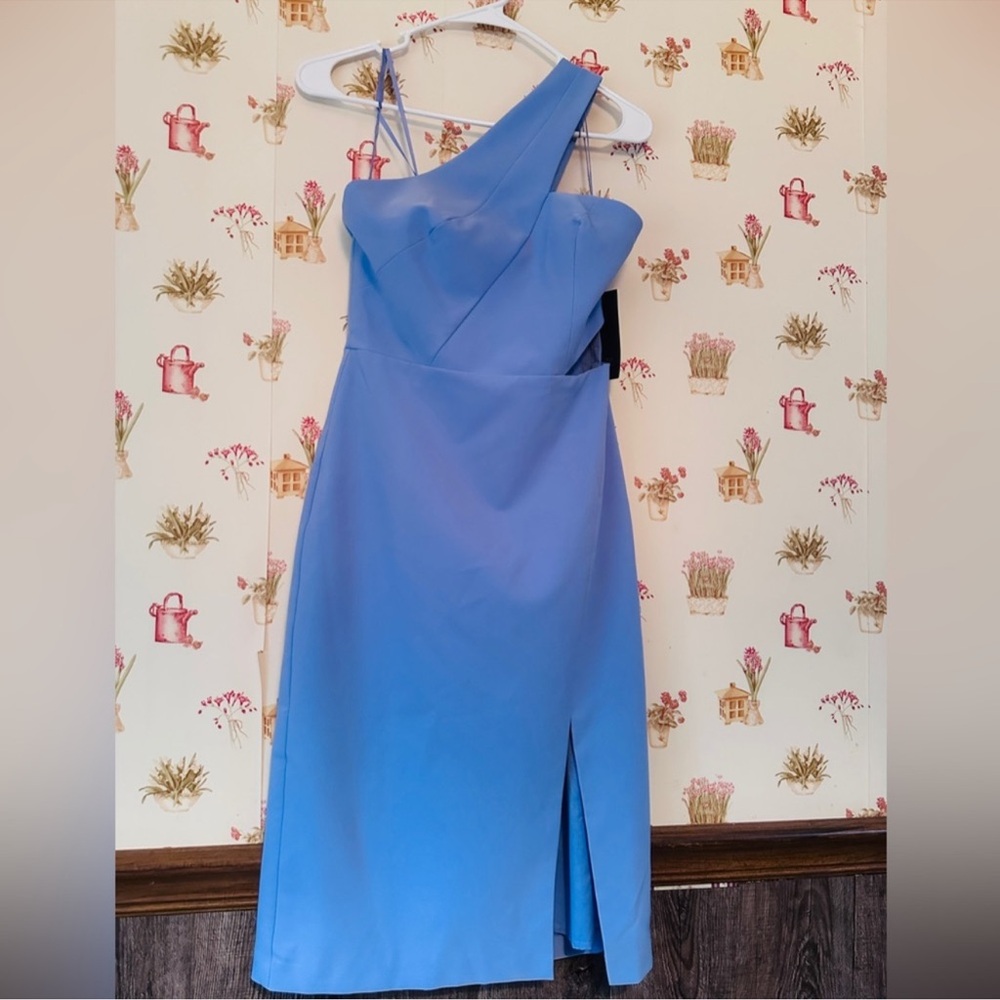 Aidan Mattox One-Shoulder Blue Dress